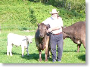 Brian and the cows